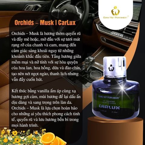  CARLUX Nước Hoa Ô Tô, phòng làm việc, phòng ngủ không gian nhỏ. Nguyên liệu nhập khẩu Bacelona (Tây Ban Nha) 