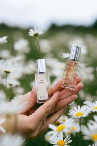  Nước Hoa Nam Nữ Poécile, Rose Lutèce 15ml - 50ml 