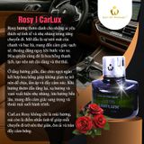  CARLUX Nước Hoa Ô Tô, phòng làm việc, phòng ngủ không gian nhỏ. Nguyên liệu nhập khẩu Bacelona (Tây Ban Nha) 