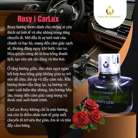  CARLUX Nước Hoa Ô Tô, phòng làm việc, phòng ngủ không gian nhỏ. Nguyên liệu nhập khẩu Bacelona (Tây Ban Nha) 