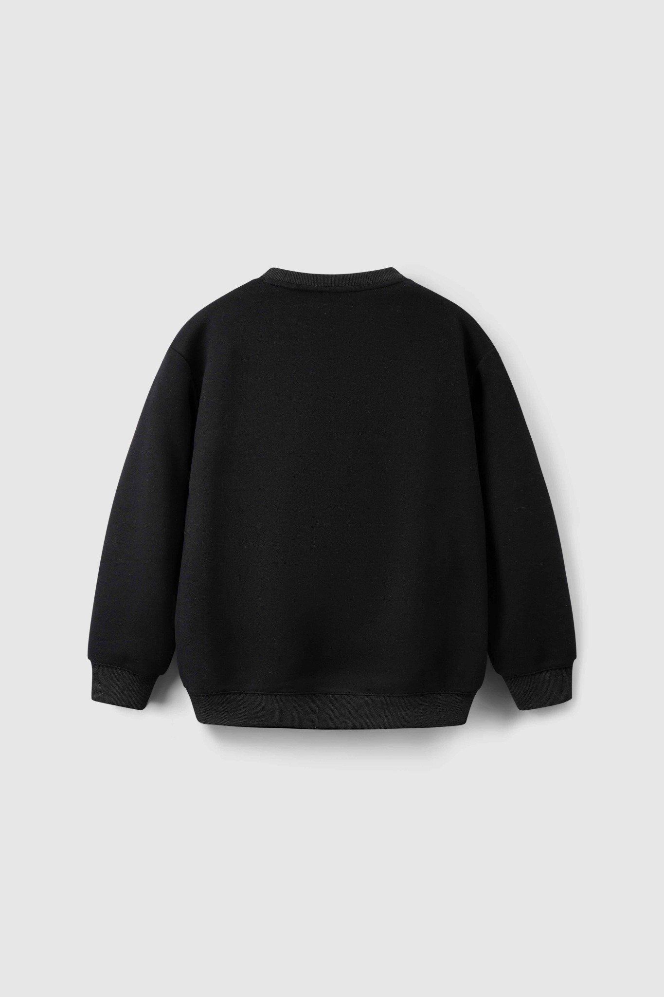  Áo Sweatshirt teen boy Chiho TSW506R 