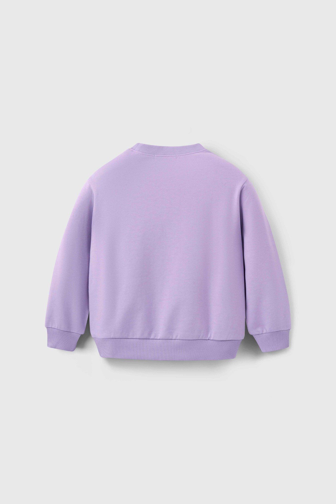  Áo nỉ bé gái CHIHO GSW504R 