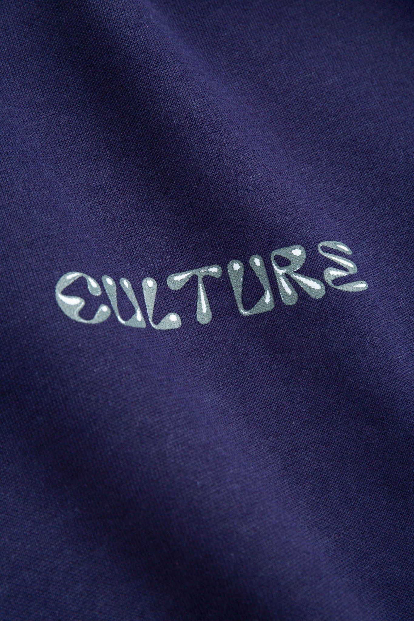  Áo Hoodie teen boy Chiho TDH502R 