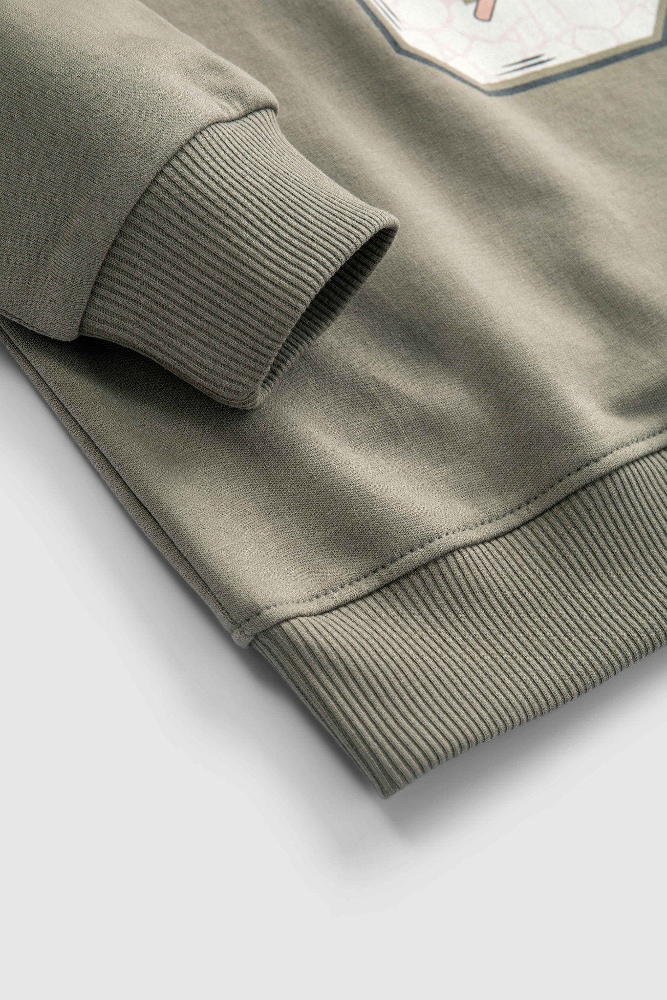  Áo Sweatshirt bé trai CHIHO BSW504R 