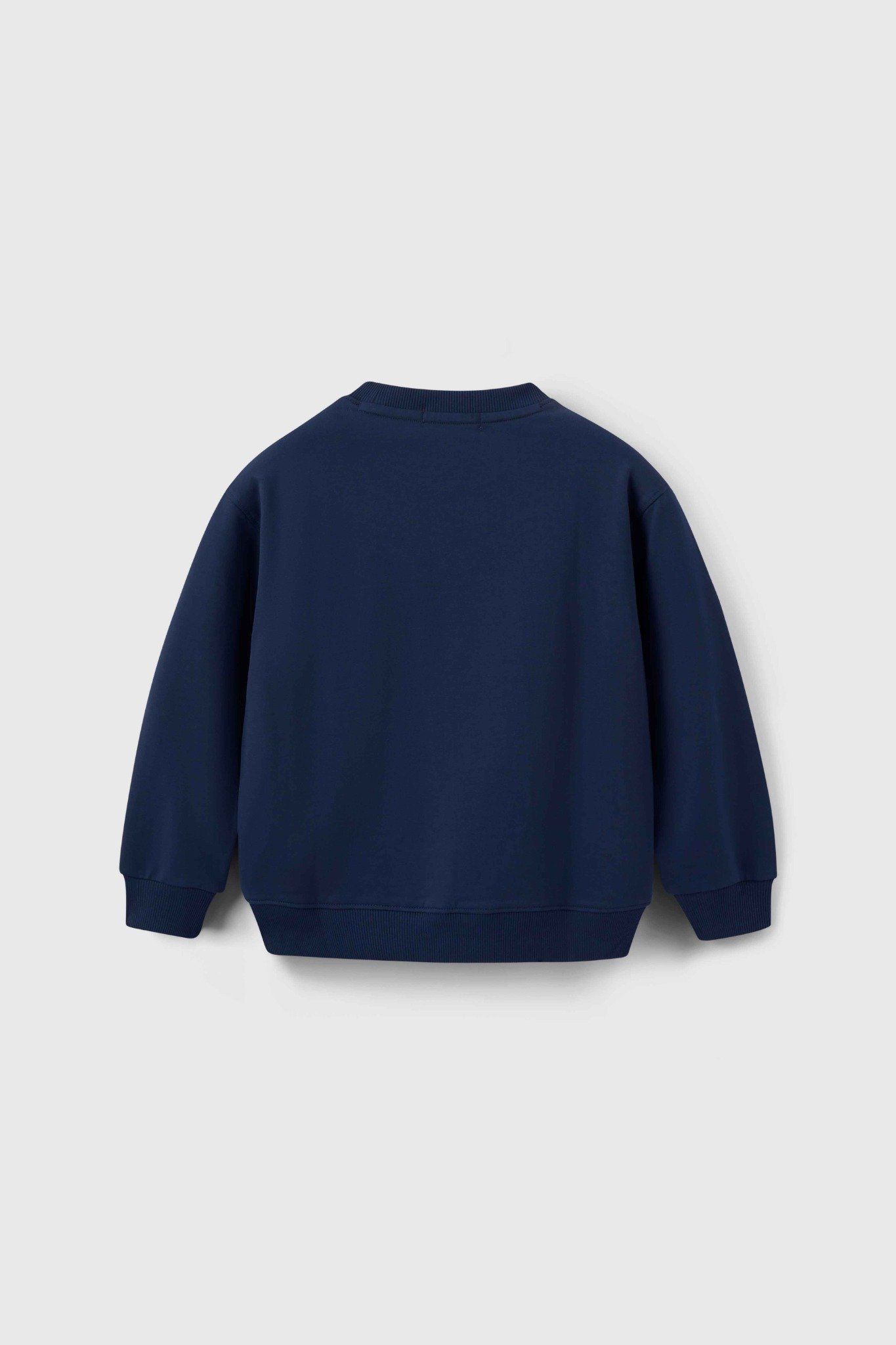  Áo Sweatshirt bé trai CHIHO BSW506R 