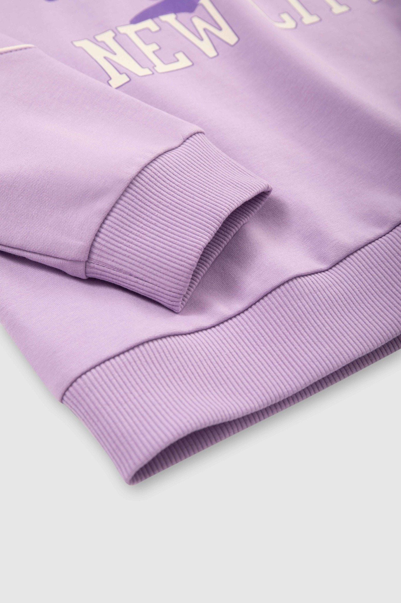  Áo nỉ bé gái CHIHO GSW510R 