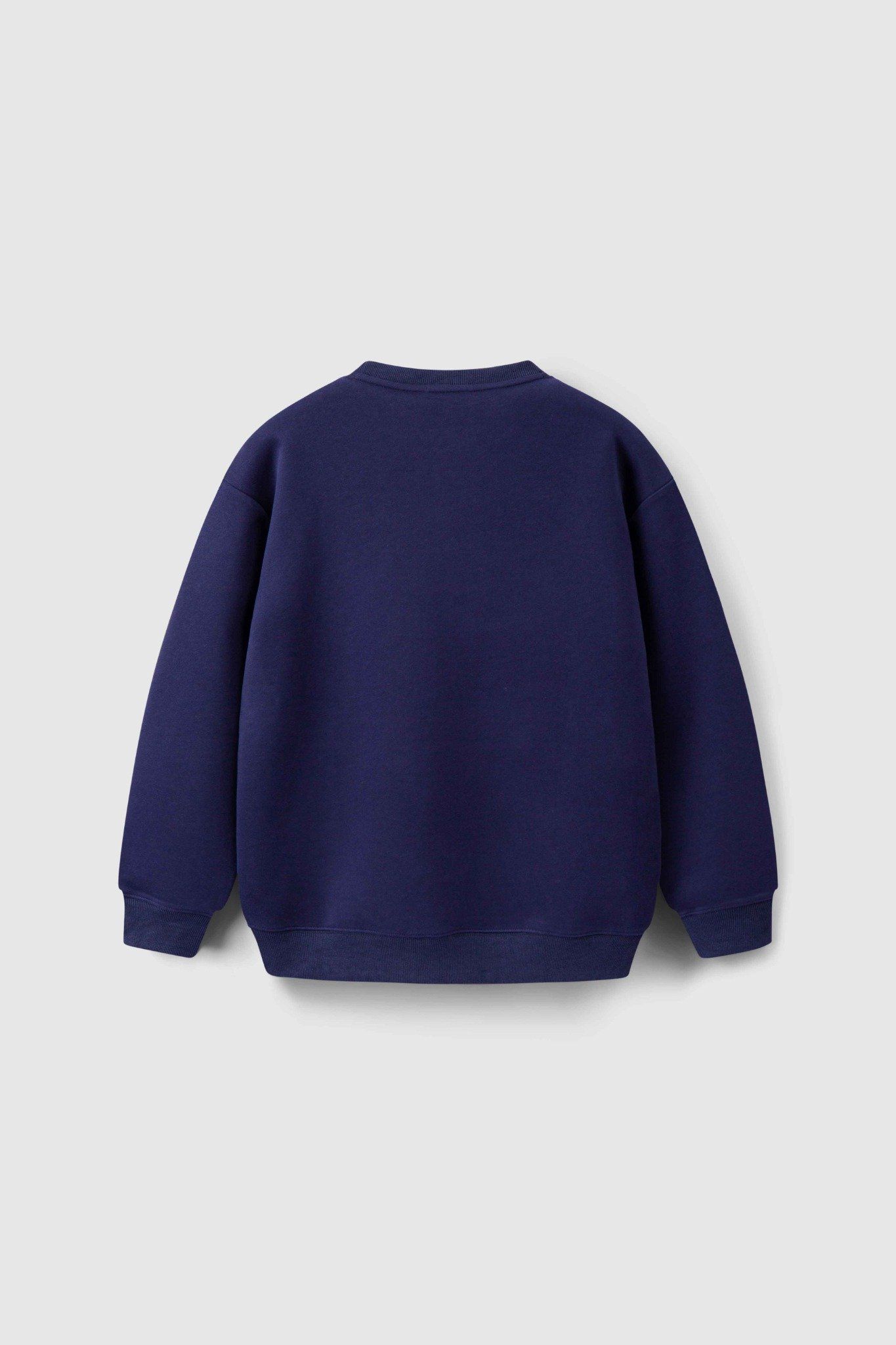  Áo Sweatshirt teen boy Chiho TSW502R 