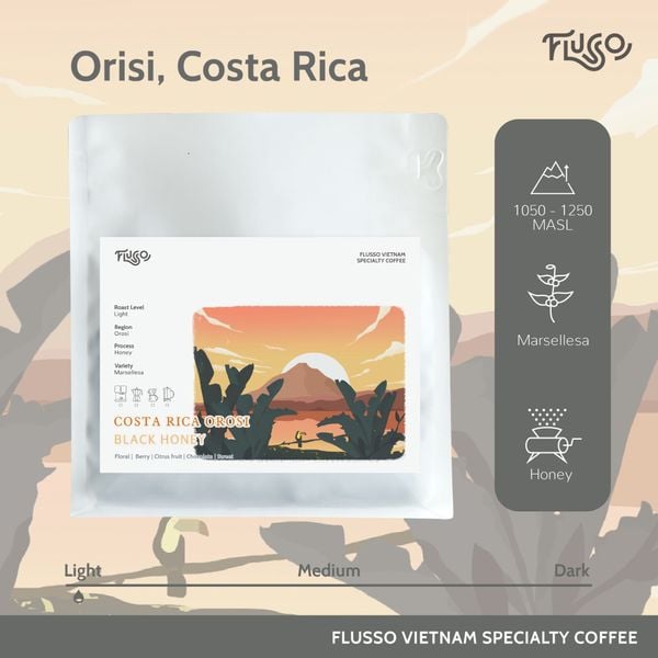  Cà phê Specialty Costa Rica Orosi Black Honey 