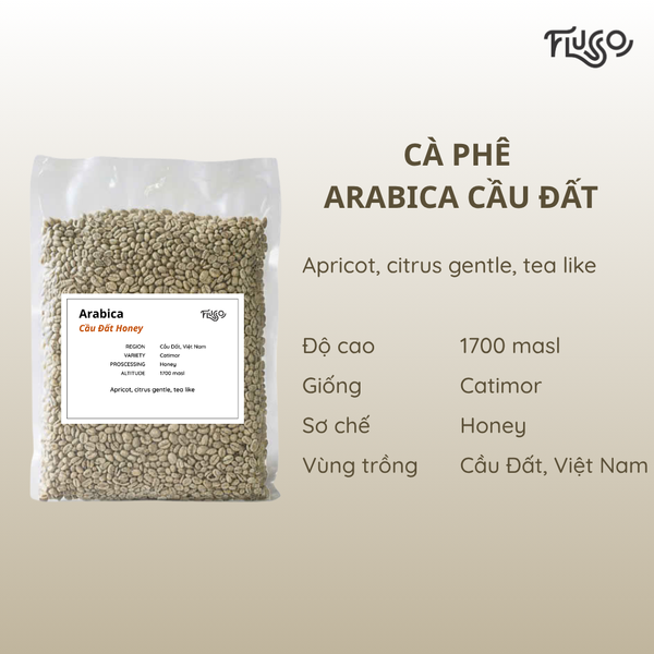  Cà phê nhân xanh Arabica Cầu Đất Honey 