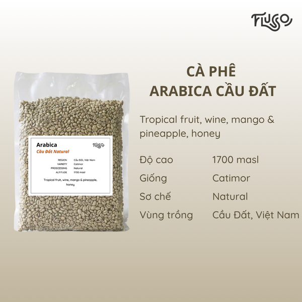  Cà phê nhân xanh Arabica Cầu Đất Natural 