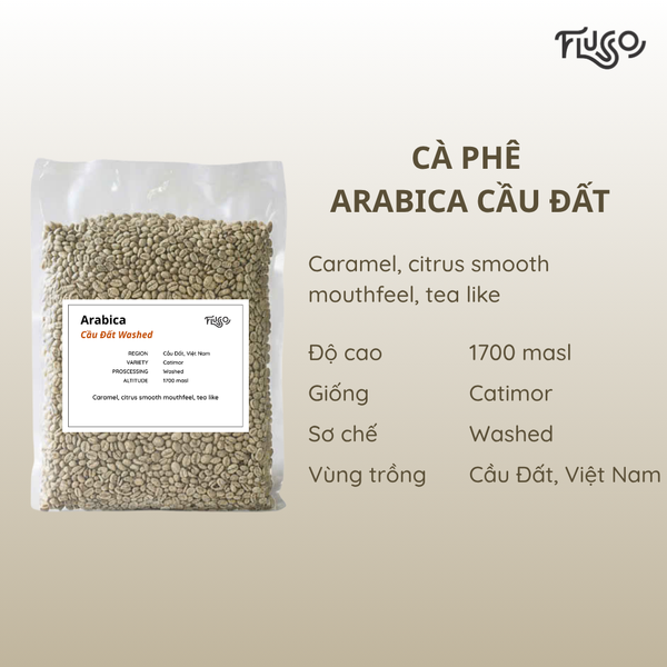  Cà phê nhân xanh Arabica Cầu Đất Washed 