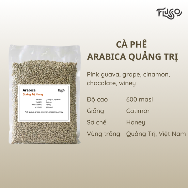 Cà phê nhân xanh Arabica Quảng Trị Honey 