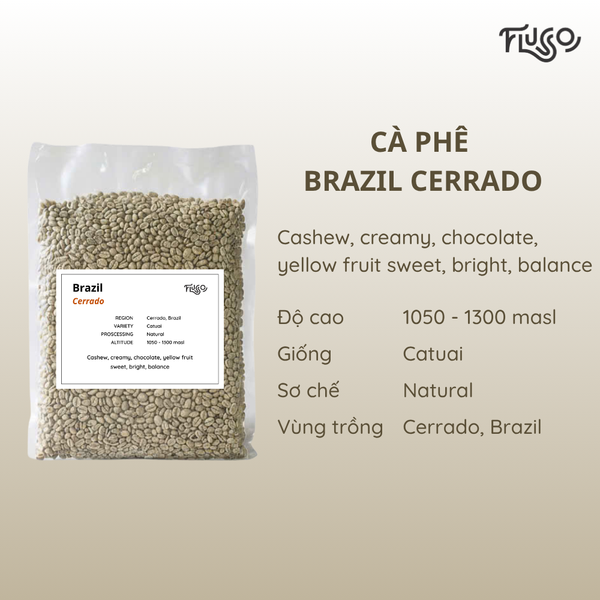  Cà phê nhân xanh Brazil Cerrado 
