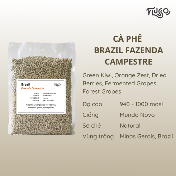  Cà phê nhân xanh Brazil Fazenda Campestre 