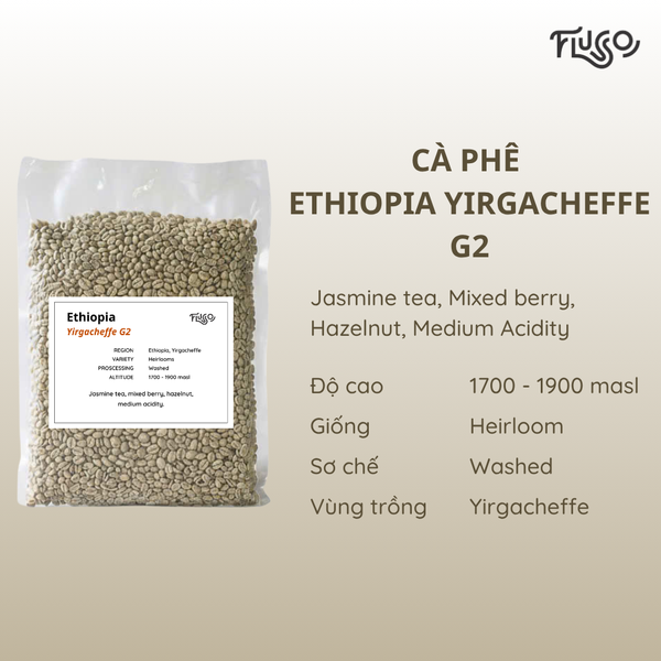  Cà Phê Nhân Xanh Ethiopia Yirgacheffe G2 