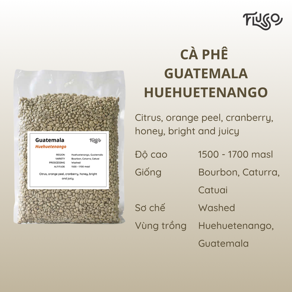  Cà phê nhân xanh Guatemala Huehuetenango 