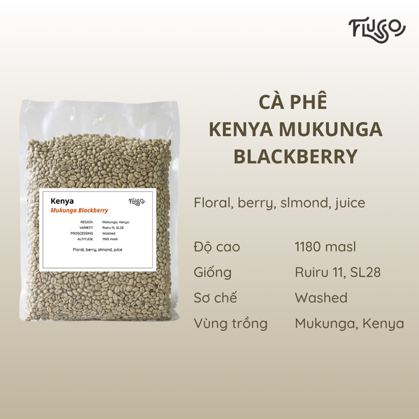 Cà phê nhân xanh Kenya Mukunga Blackberry 