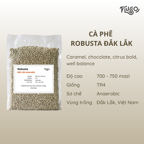  Cà phê nhân xanh Robusta Đắk Lắk Anaerobic 