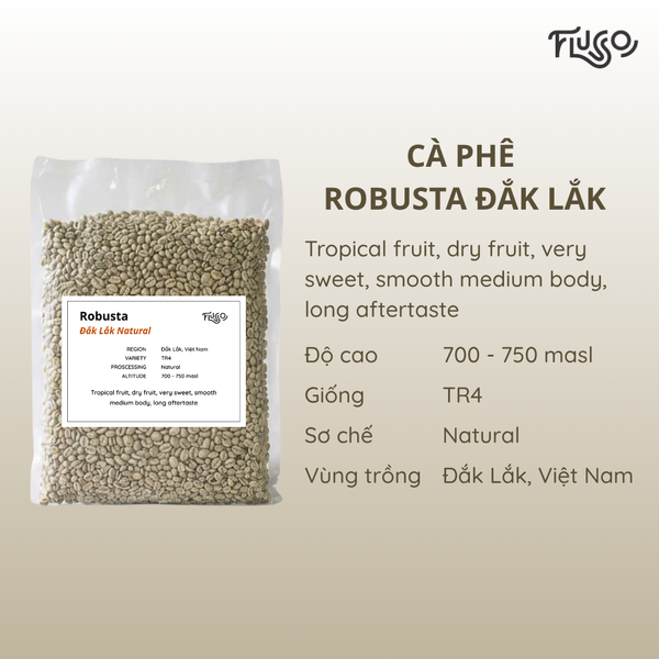  Cà phê nhân xanh Robusta Đắk Lắk Natural 