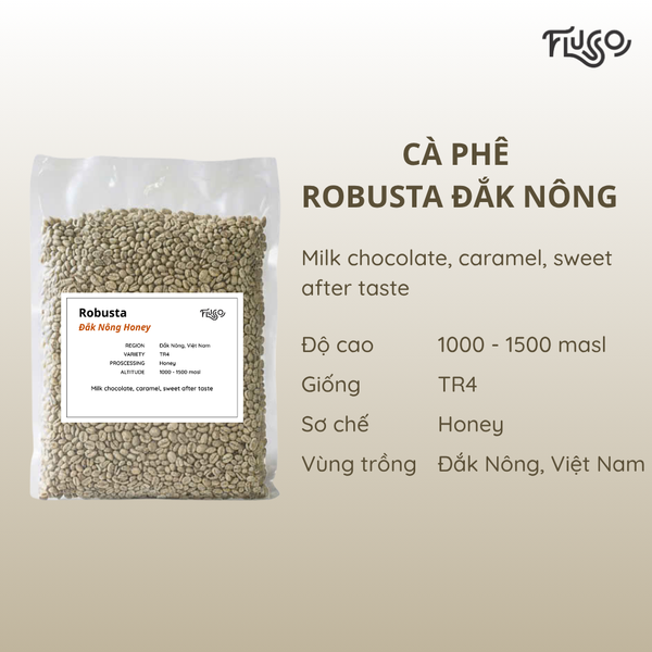  Cà phê nhân xanh Robusta Đắk Nông 