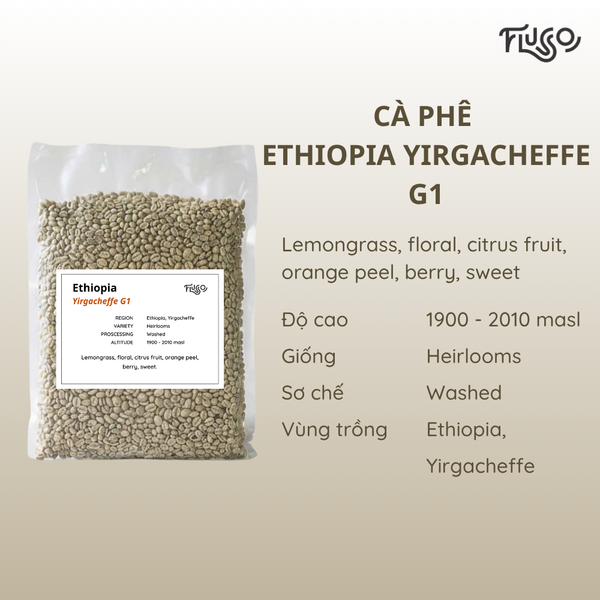  Cà phê nhân xanh Ethiopia Yirgacheffe G1 