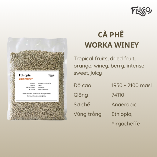  Cà phê nhân xanh Ethiopia Worka Winey 