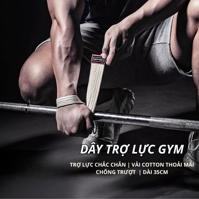  LS0772 - DÂY KÉO LƯNG TẬP GYM KẾT HỢP ĐAI QUẤN CỔ TAY 