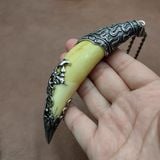  Nàng hổ bọc bạc si hàng sưu tầm 