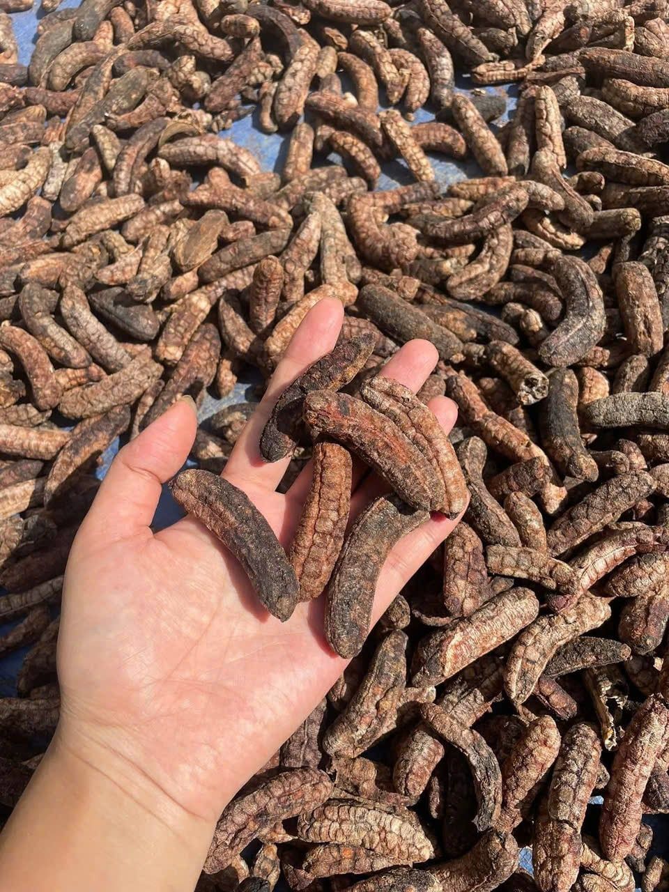  Chuối khô ngâm rượu tây nguyên 