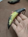  Nàng hổ bọc bạc si hàng sưu tầm 