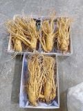 BẢNG GIÁ SÂM TƯƠI HÀN QUỐC CHÍNH HÃNG 