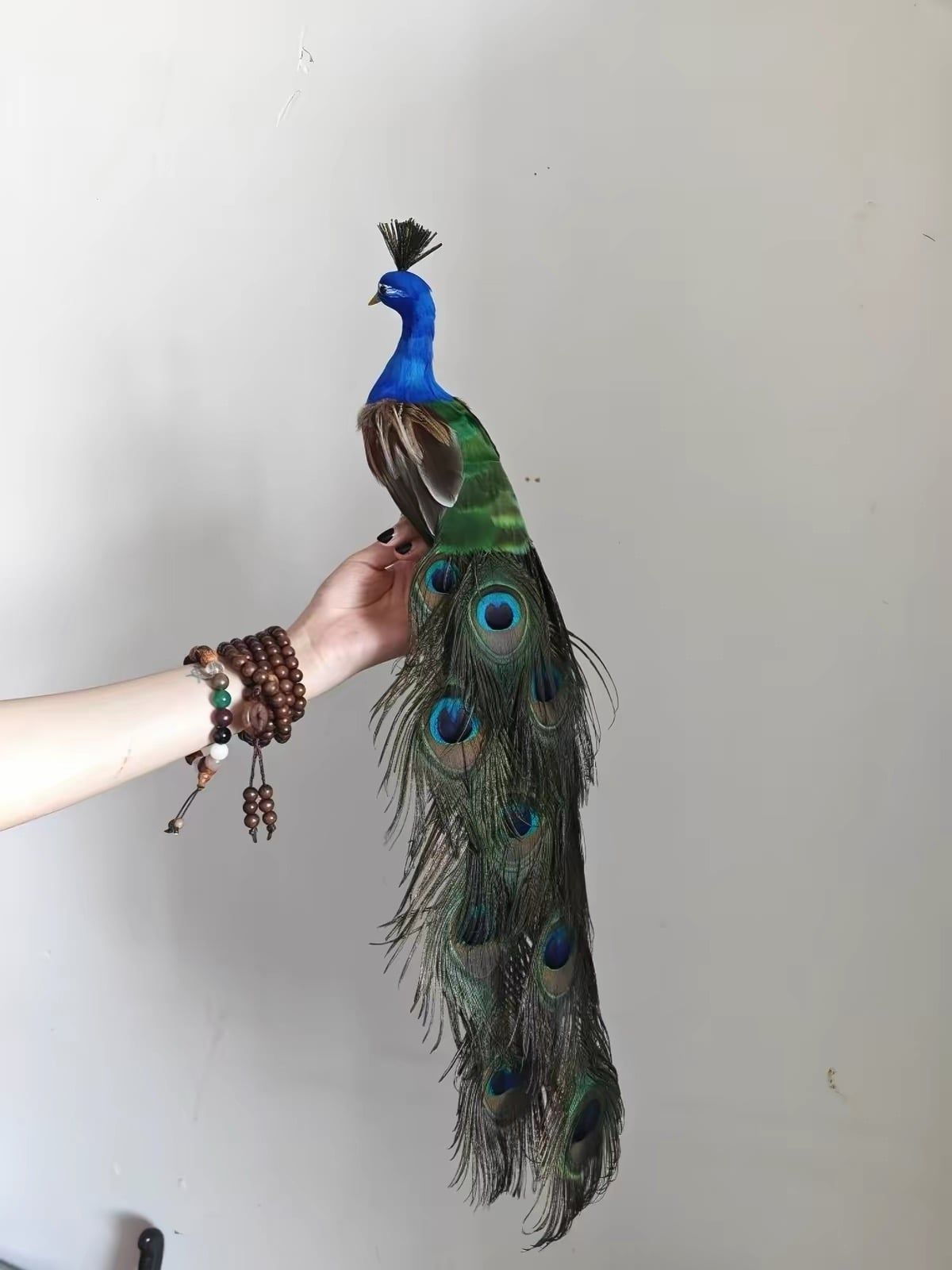  🦚 CHIM CÔNG DECOR – ĐIỂM NHẤN SANG TRỌNG CHO KHÔNG GIAN 