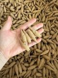  Nụ trầm hương thơm Quảng Nam chất lượng giá rẻ BKHFCN-9072 