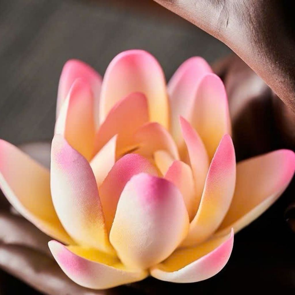  Bộ Xông Trầm Hương Gốm Sứ Giả Gỗ BKCECN-9423 