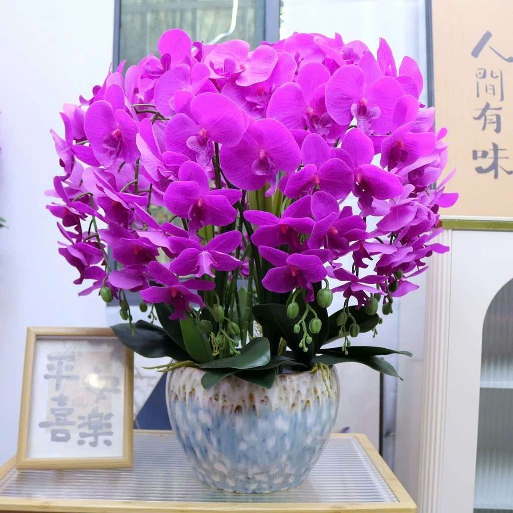  Bình Hoa Lan Hồ Điệp Giả Trang Trí Tết BKCECN-9720 