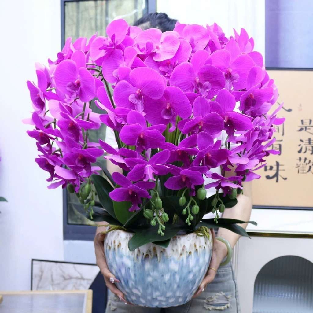  Bình Hoa Lan Hồ Điệp Giả Trang Trí Tết BKCECN-9720 