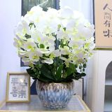  Bình Hoa Lan Hồ Điệp Giả Trang Trí Tết BKCECN-9720 