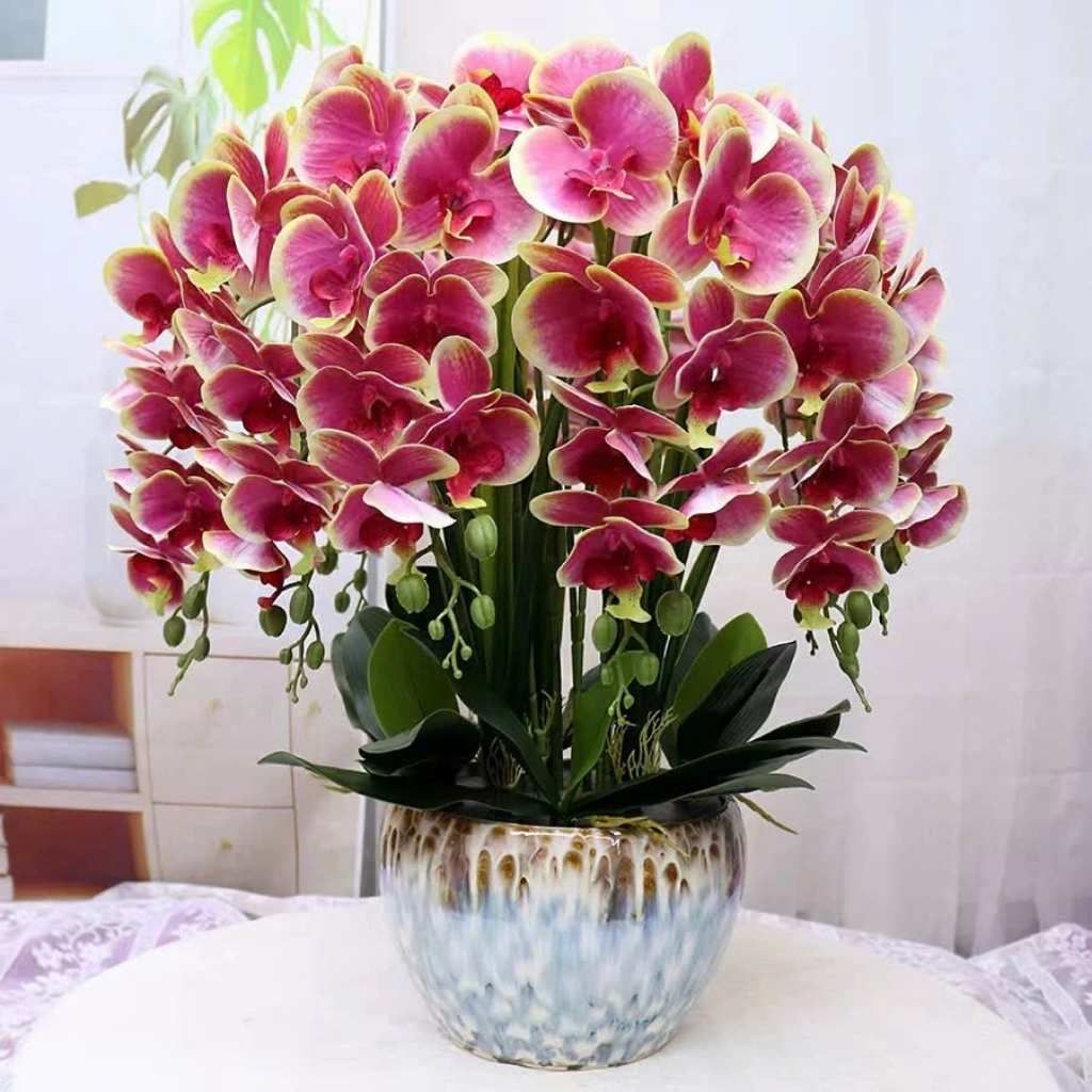  Bình Hoa Lan Hồ Điệp Giả Trang Trí Tết BKCECN-9720 