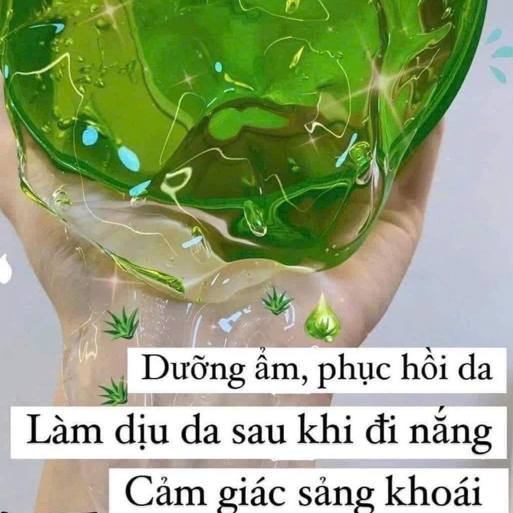  Gel Nha Đam Làm Dịu và Giữ Ẩm BKHEKR-9250 