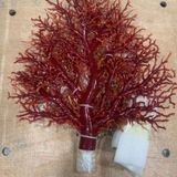  Cây San Hô Đỏ Tự Nhiên Độc Nhất Vô Nhị BKHFCN-9015 