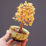  Cây Thạch Anh Đá Quý Tài Lộc Đế Gốm BKHFCN-9016 