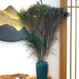  Lông Đuôi Công Tự Nhiên Trang Trí BKHFCN-9018 