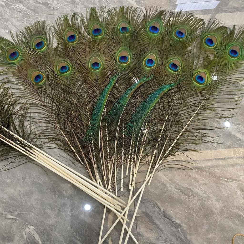  Lông Đuôi Công Tự Nhiên Trang Trí BKHFCN-9018 