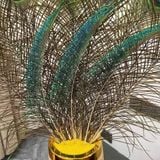  Lông Đuôi Công Tự Nhiên Trang Trí BKHFCN-9018 