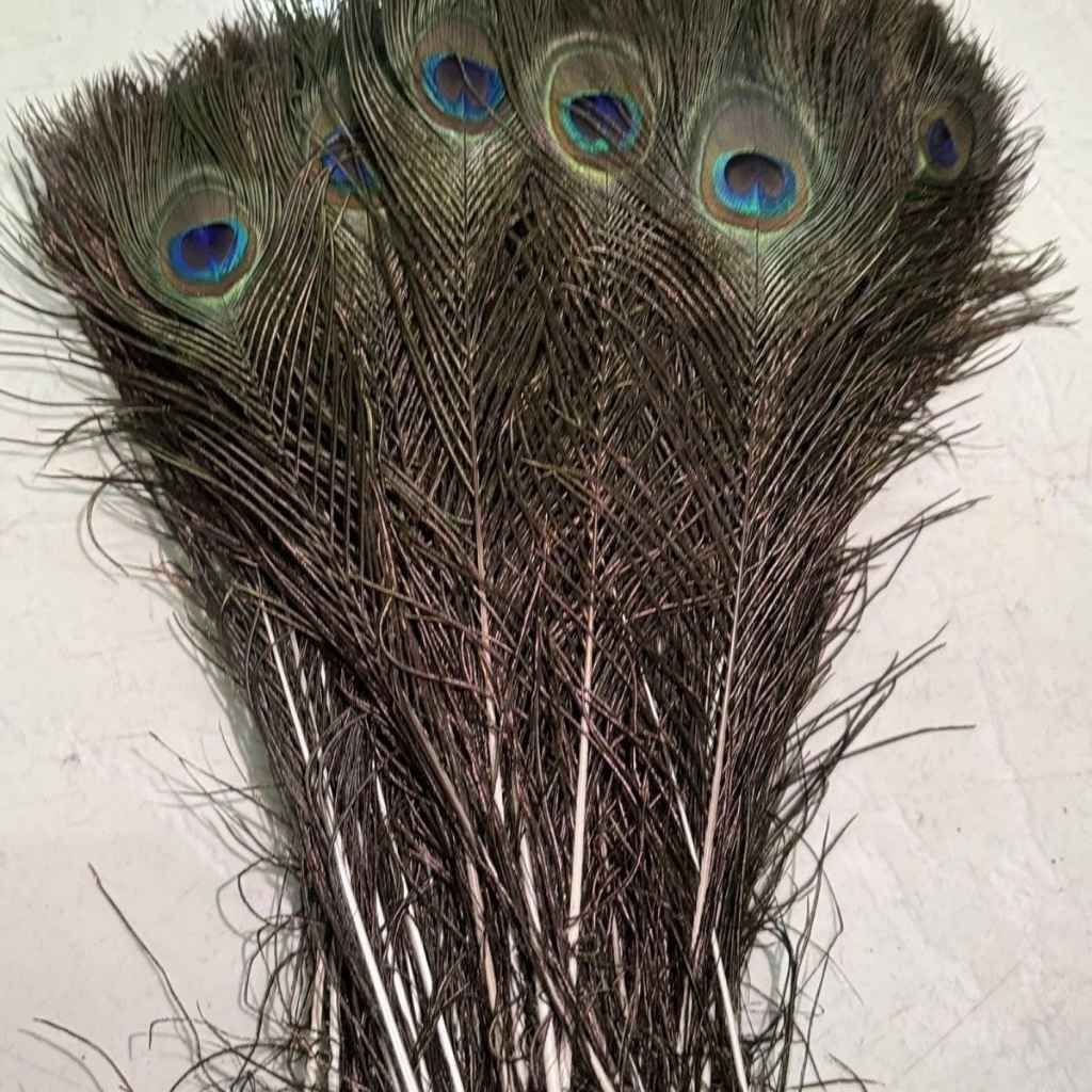  Lông Đuôi Công Tự Nhiên Trang Trí BKHFCN-9018 