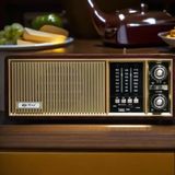  Đài Radio Cổ Điển PoXing Cao Cấp BKHFCN-9039 