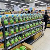  Trà Hoa Sâm Hàn Quốc BKNHVN-9040 