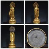  Tượng Phật Tổ Đứng Mạ Vàng BKMECN-9526 