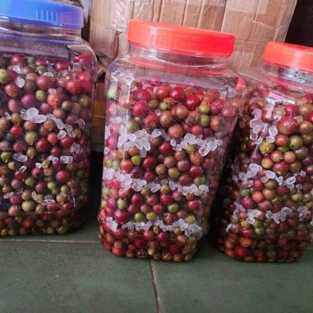  Nho Rừng Tươi Sạch BKNHVN-9022 