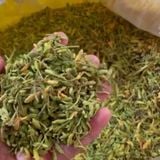  Nụ hoa đu đu đực BKNHVN-9027 